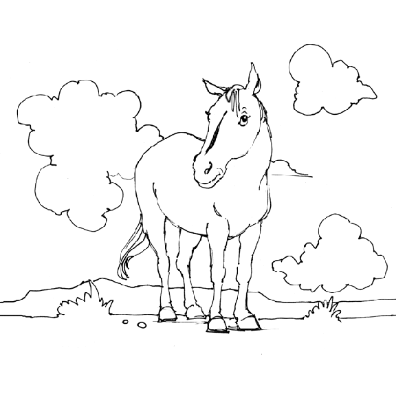 Horse