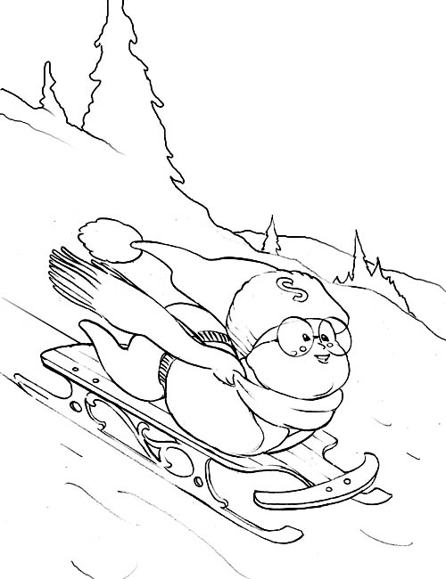 Stevely on his Sled